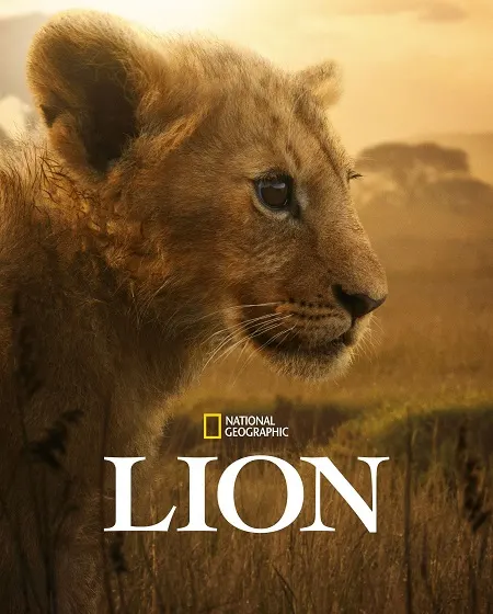 مسلسل Lion مترجم